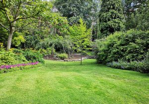 Optimiser l'expérience du jardin à Matignon